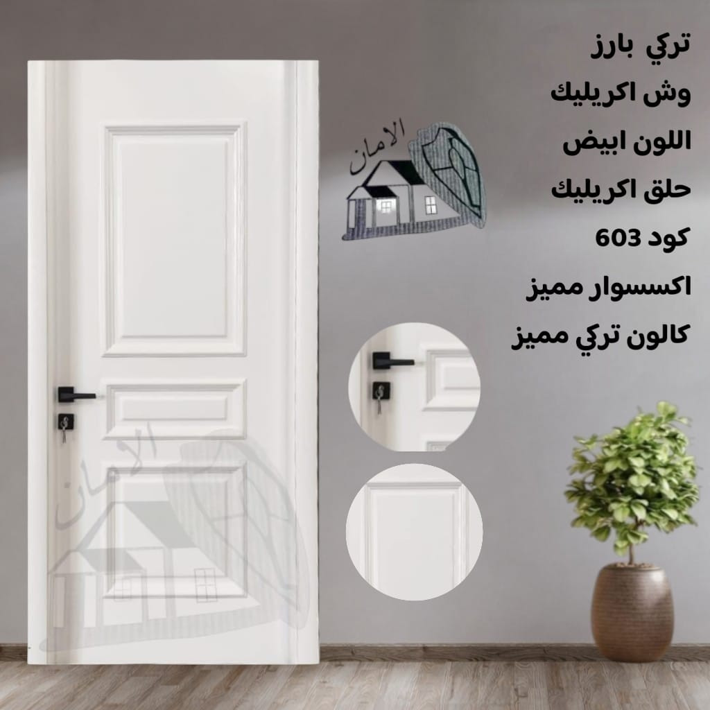 باب غرفة تركى بارز